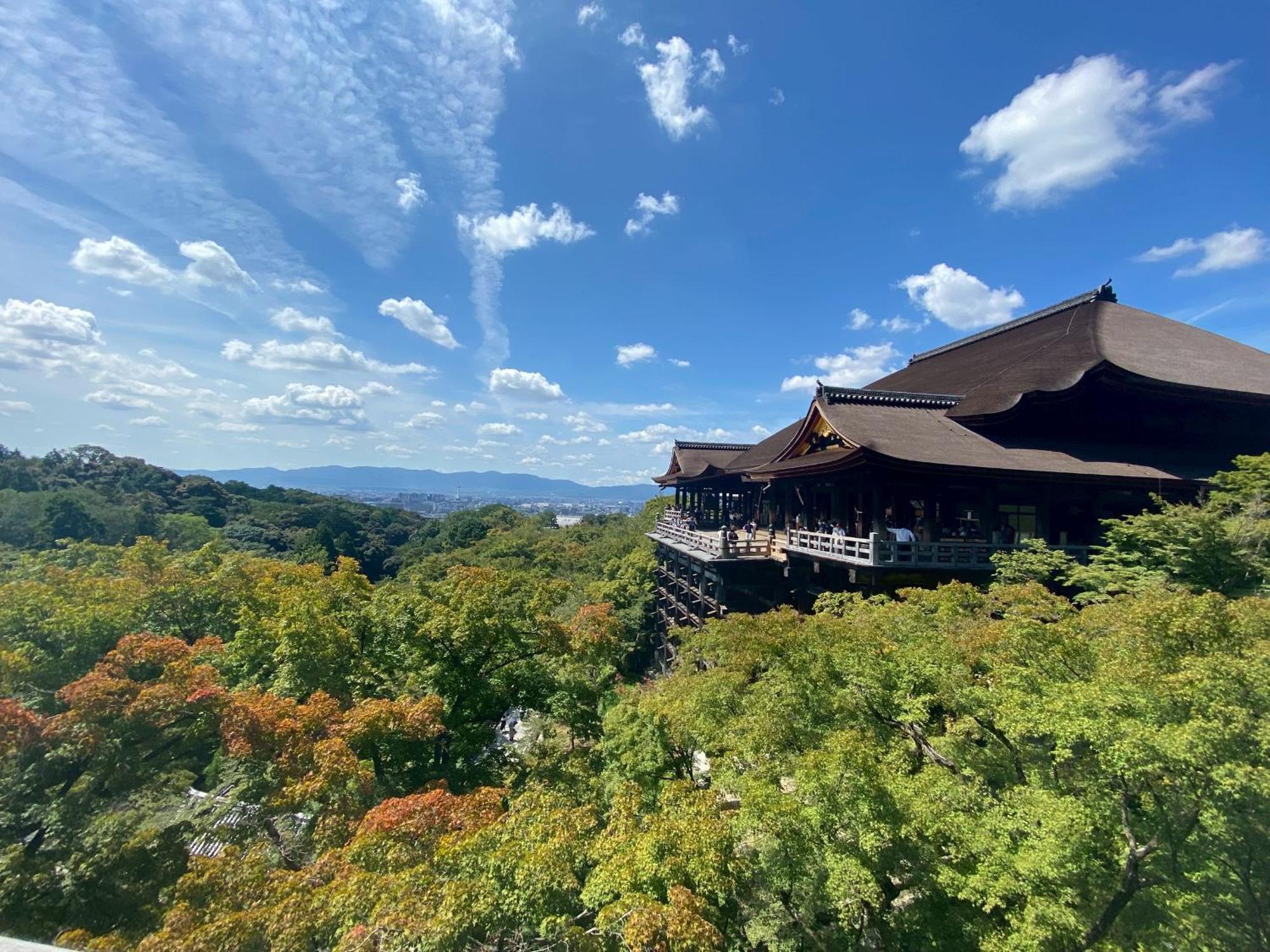 211gblhouse,難波,道頓堀,黒門市場など主要観光地へすぐの好立地usjへもすぐ!駅から1分のおしゃれなお部屋!